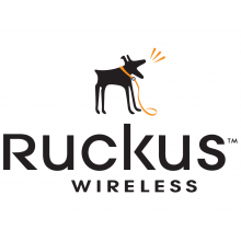 Ruckus Wireless